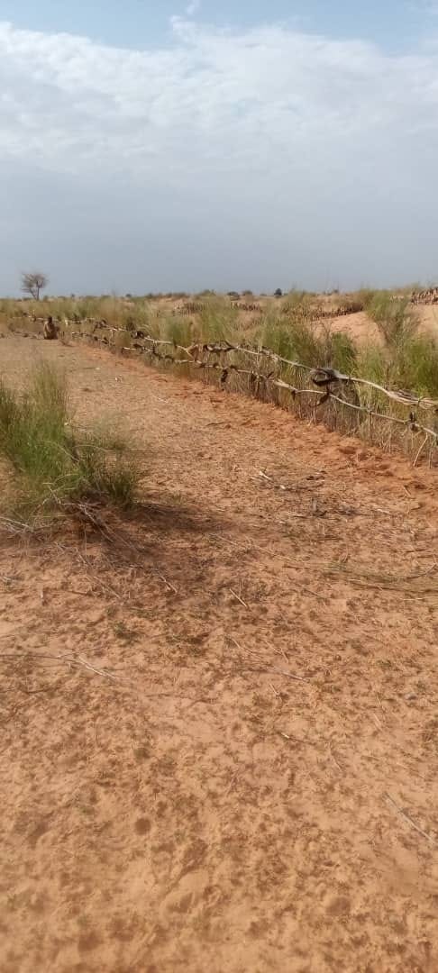 Stabilisation des dunes et protection contre l'ensablement